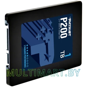 SSD диск Patriot P200 1TB (P200S1TB25) картинка 2